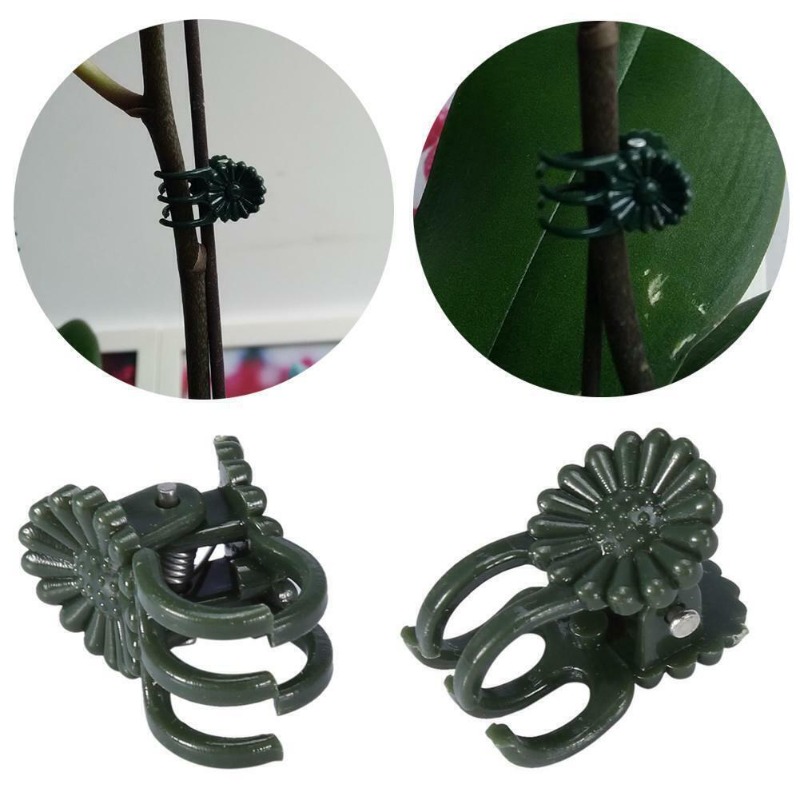 50PCS 5-Claw Dark Green Plant  - огляд і ціна Vine Climbing Plastic