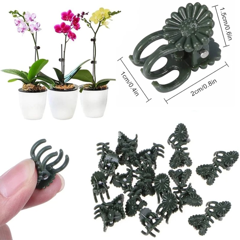 50PCS 5-Claw Dark Green Plant  - огляд і ціна Vine Climbing Plastic