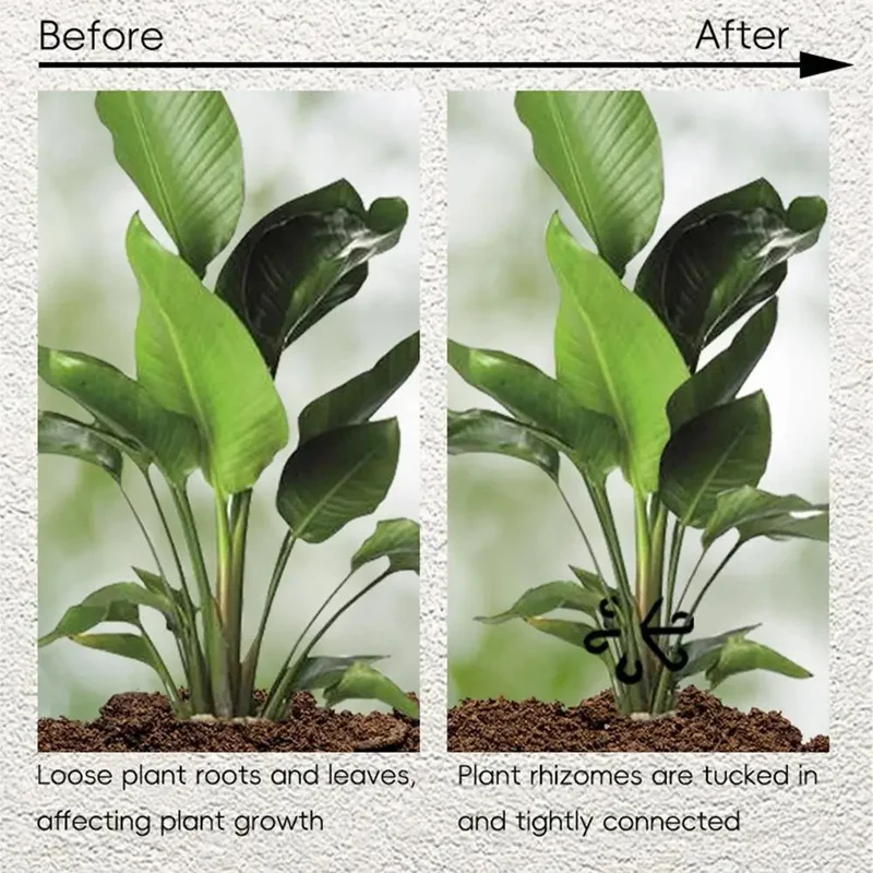 Stem Support Alocasia Monstera - огляд і ціна Vine Climbing Plastic