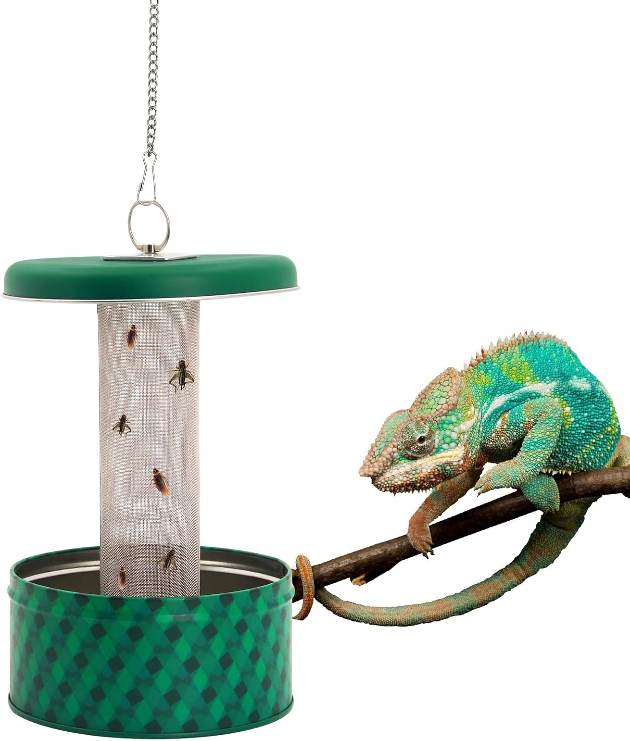 Bearded Dragon Feeder Chameleo - огляд і ціна Water Dish Reptile