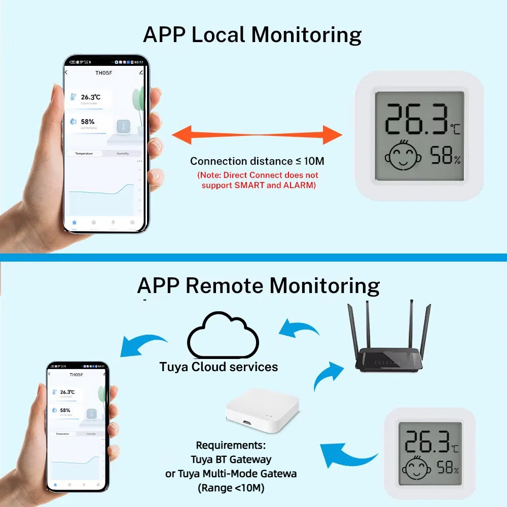 Tuya Mini Thermometer Hygromet - огляд і ціна Digital Hygrometer Probe
