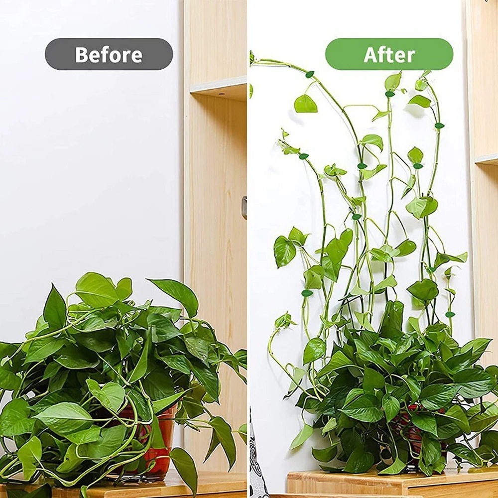 10/30/50Pcs Plant Climbing Wal - огляд і ціна Vine Climbing Plastic